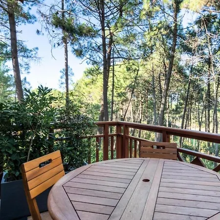 Apartment Les Pins - Maeva - 2 Pieces 4 Personnes - Prestige Mae-2614 Lacanau
