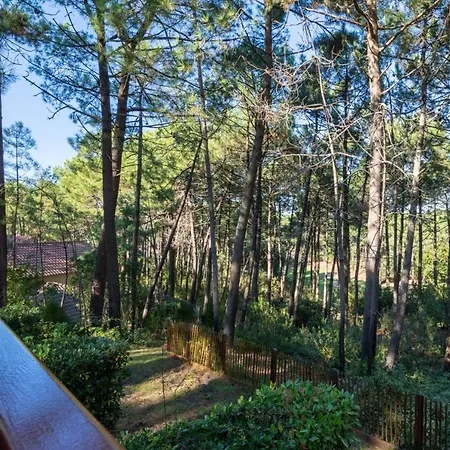 Les Pins - Maeva - 2 Pieces 4 Personnes - Prestige Mae-2614 דירה *