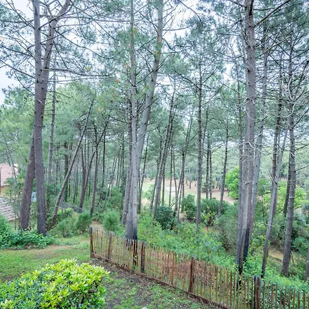 Les Pins - Maeva - 2 Pieces 4 Personnes - Prestige Mae-2614 דירה *